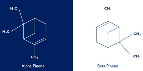 #Privy Speciality Chemical - Superior Business Model ? A Detailed