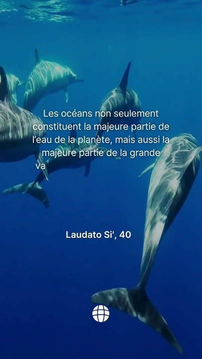 Journée Mondiale Des Océans🌊 Youtube