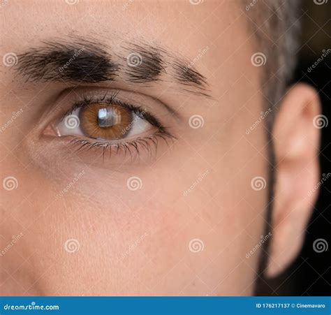 Bright Eye Look Eyebrow With Scar Sharp Brown Eye Close Up Man Eye