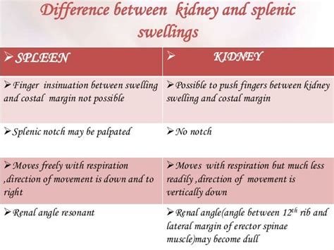 Abdomen Examination Paeds