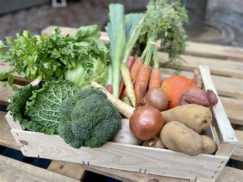 Le Panier De L Gumes Le Zingam