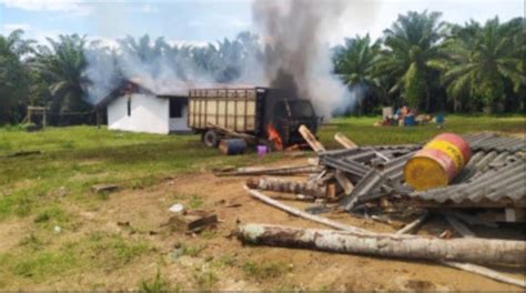 Pembakaran Aset Perusahaan Sawit Di Lampung Tengah Dipicu Konflik Lahan