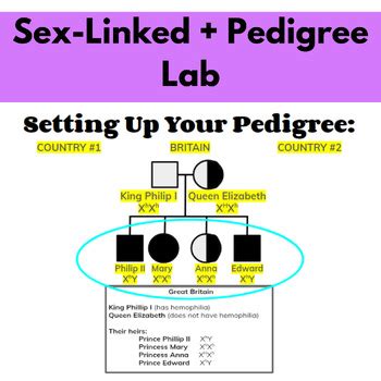 Genetics Unit PLAN Complete Incomplete Codominance Sex Linked