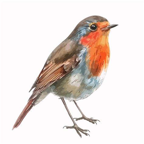 Exquisite Robin Floral HandDrawn Watercolor Illustration Premium AI