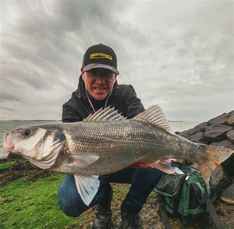 Tips Voor Het Vissen Op Zeebaars Tackleshop Nl