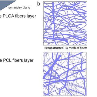 Three Layered Plga Pcl Scaffold Modeled Using A Detailed Model With The