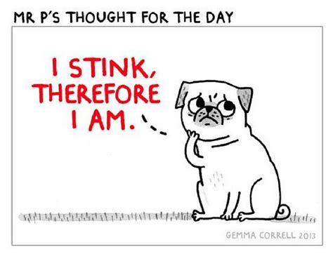 Thought For The Day I Stink Therefore I Am Cute Pugs Pug Cartoon