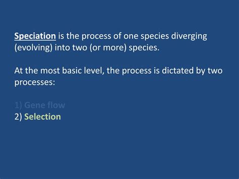 PPT - Natural Selection & Speciation PowerPoint Presentation, free download - ID:3909743