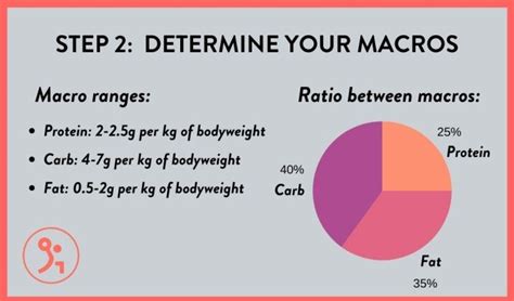 What Should Your Calories And Macros Be When Bulking Fitbod