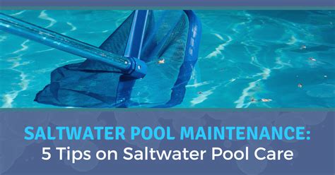 Saltwater Pool Maintenance 5 Tips On Saltwater Pool Care