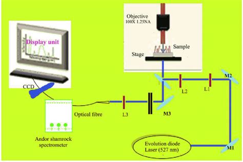 The Representation Of The Raman Spectrometer Setup For Sample Analysis Download Scientific