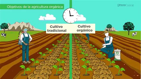 Qu Es El Cultivo Org Nico