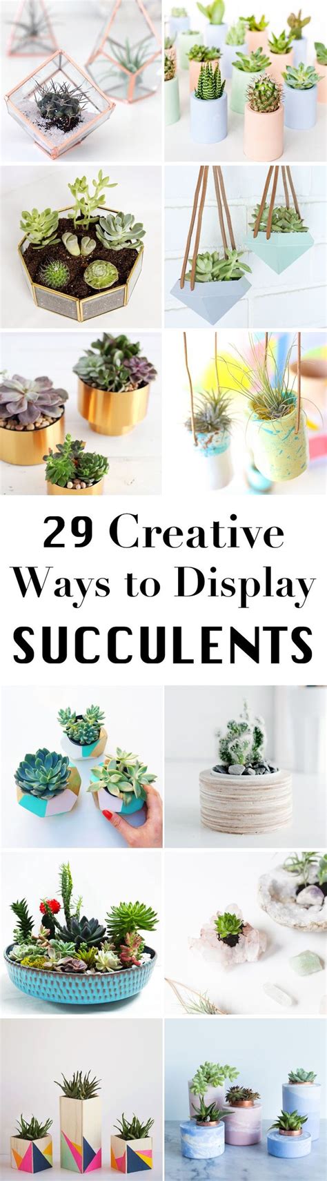 29 DIY Succulent Planter Ideas: Creative Ways to Display Succulents ...