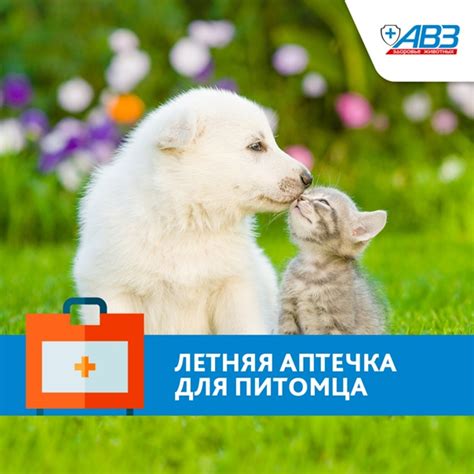 Летняя аптечка для питомца Собираясь с питомцем на дачу, можно забыть ...