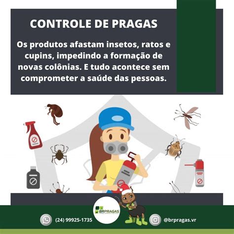 Os Produtos Afastam Insetos Ratos E Cupins Impedindo A Forma O De