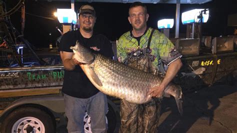 New World Record Grass Carp