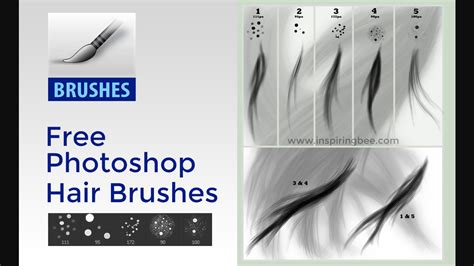 20 Best Photoshop Hair Brushes 2021 Theme Junkie