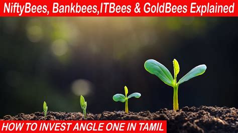 NiftyBees Bankbees ITBees GoldBees Explained HOW TO INVEST ANGLE