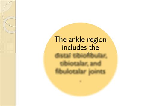 SOLUTION Biomechanics Of Human Lower Extremity Part 3 Studypool