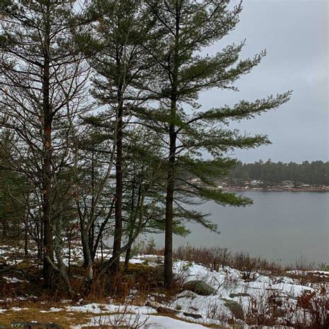 The Stages of Change: A Scholarly Analysis and Practical Application ...