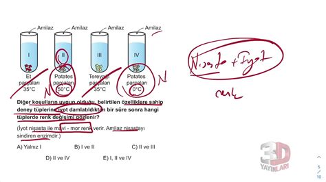 Tyt Biyoloji Soru Bankas B L M Test Soru Z Mleri Youtube