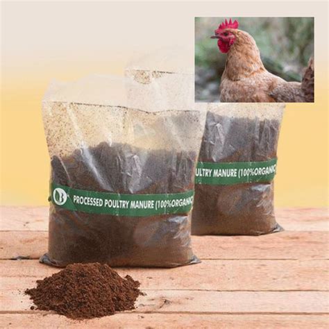 Buy Poultry Manure (Kozhi Kashtam) Organic Fertilizer | Greens Of Kerala