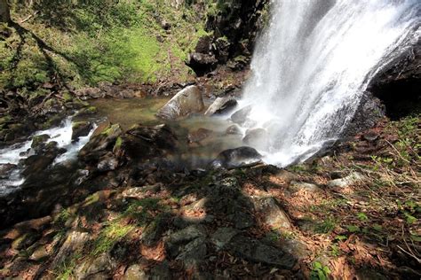 Free Picture Water Waterfall Stream Nature River Wood Landscape