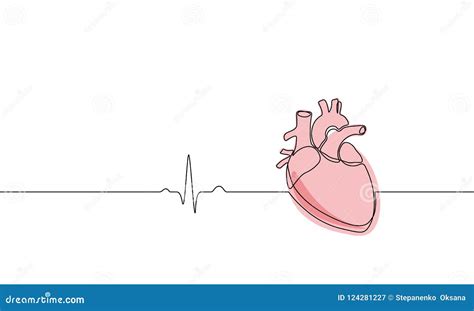 Single Continuous Line Art Anatomical Human Heart Silhouette Healthy