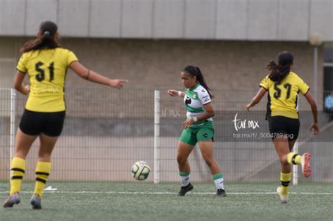 Celeste Guevara Santos Vs Mazatl N J C Liga Mx