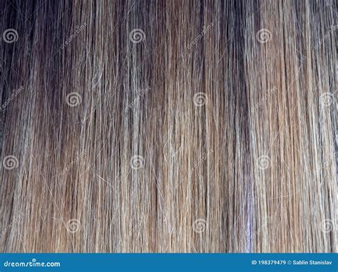 Gradient Color on the Hair. Colored Staining of the Hair Stock Image ...