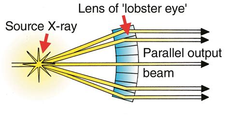 Lobster eyes-brilliant geometric design