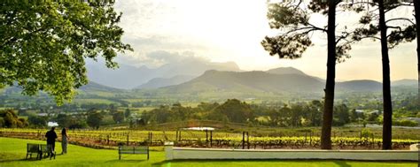 Cape Town Wine Tour | Best South Africa Safari Experiences | Art Of Safari