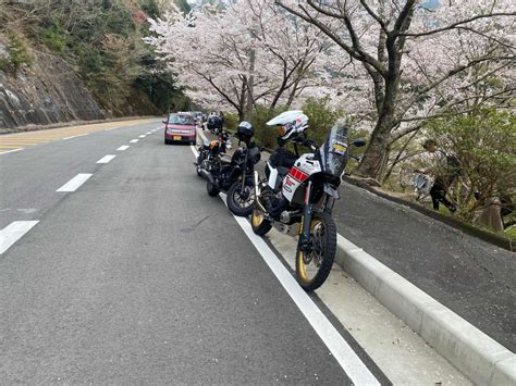 Hiro Rさんの投稿した愛車情報tenere700 Xtz690 今日は天気が良く サクラ巡りに行きました｜バイクの