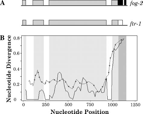 Gene Conversion And DNA Sequence Polymorphism In The Sex Determination Gene Fog And Its