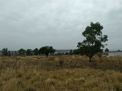 Afectan recortes federales al campo guanajuatense Página Central