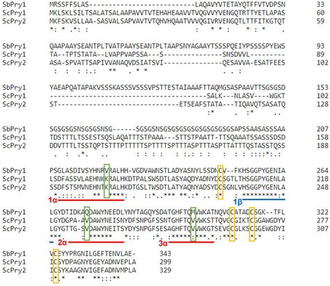 Sequence Alignment Of Sbpry1p With S Cerevisiae Scpry1p And Scpry2p