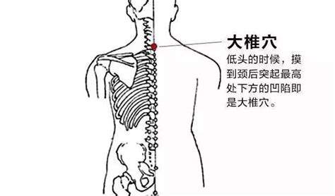 重视三九灸丨艾灸度三九·寒冬身体优 2024澳门六今晚开奖结果出来2024澳门六今晚开奖结果2024澳门特马今晚开奖澳门六开奖结果