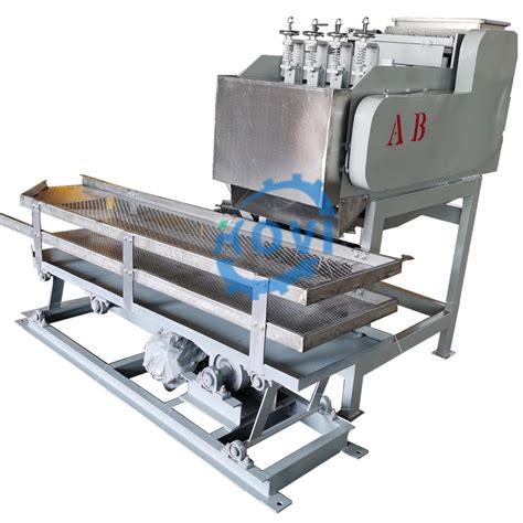 Automatic Cashew Nut Shelling Machine Cashew Fruit Grading Shell Kernel