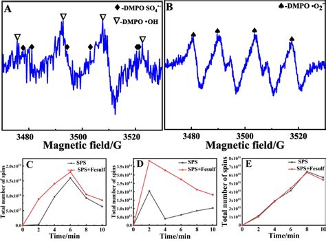 Electron Paramagnetic Resonance Epr Spectrum Indicating Superoxide Download Scientific