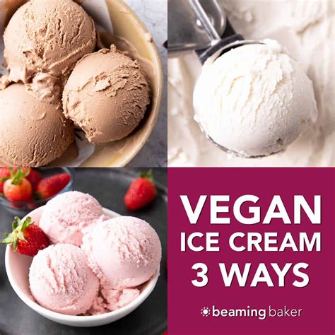 Homemade Vegan Ice Cream Recipe Learn 3 Easy Ways To Make Delicious