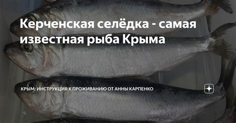 Керченская селёдка - самая известная рыба Крыма | Жизнь в Крыму с Анной ...
