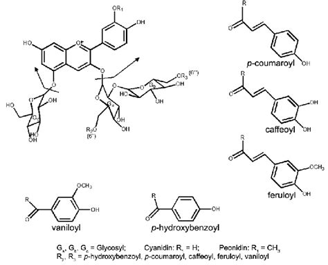 Molecular Structure And Fragmentation Sites Of Acylated Anthocyanins