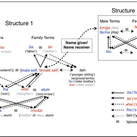 Kin Term Map For The Kung San Kinship Terminology Structure 1 Has The