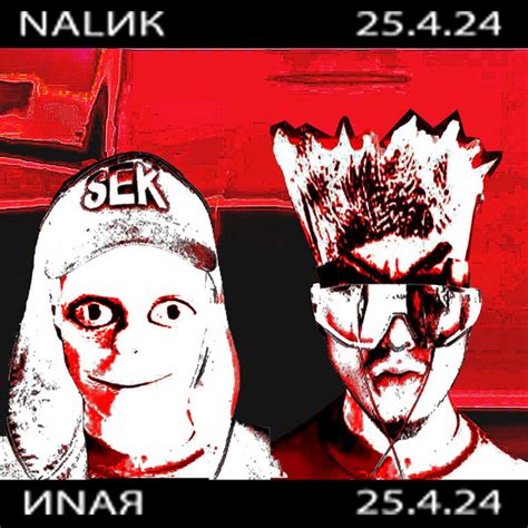 NALИK+ИNAЯ - Single by JDFLAG | Spotify