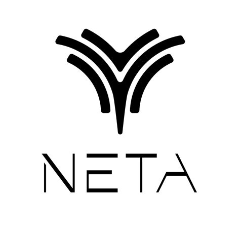 Neta V Empowering Electric