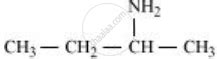 Write Structures Of Different Isomeric Amines Corresponding To The