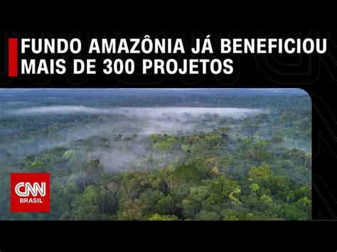 Cpi Das Ongs Quer Ouvir Tcu Sobre Uso De Recursos Do Fundo Amazônia