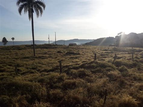 Pol Cia Militar Desocupa Fazenda Invadida Em Mangueirinha Guia