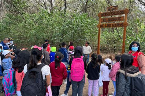 Naturaleza y cultura santuario Bosque de Pómac promueve turismo