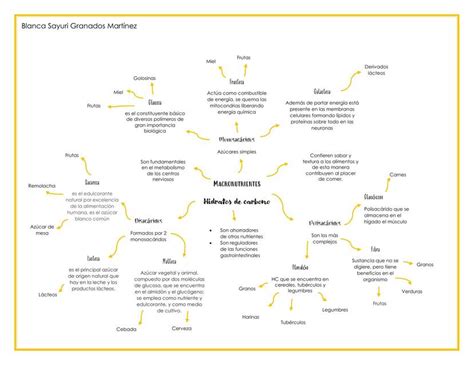 Hidratos De Carbono Sayuri Granados UDocz